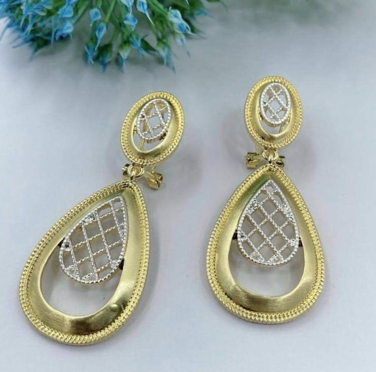 2tone Earrings